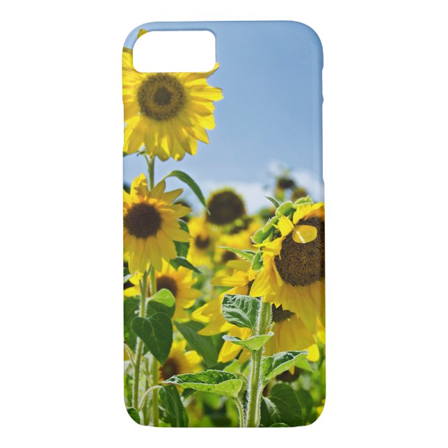 sunflower field Case-Mate iPhone case (Back)