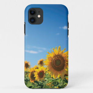 Sunflower field  iPhone 11 case