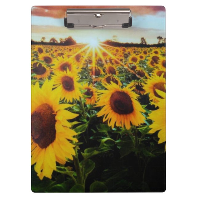 Sunflower field clipboard (Front)