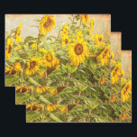 Sunflower Field Decoupage Yellow Vintage Antique Wrapping Paper Sheet<br><div class="desc">Field of yellow green sunflowers craft decoupage wrapping paper sheets. Antique, vintage, retro style texture art flowers gift wrap great for art projects. Beautiful, floral, elegant. Country rustic summer nature photo. Image copyright Marg Seregelyi Photography.</div>