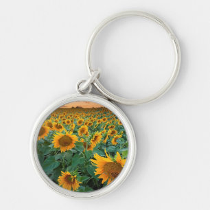 Sunflower Field in Longmont, Colorado Keychain