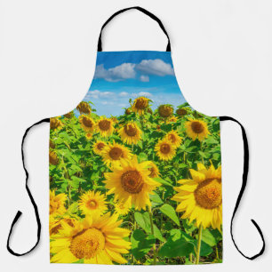 Sunflower field in summer sunny day. Picturesque l Apron