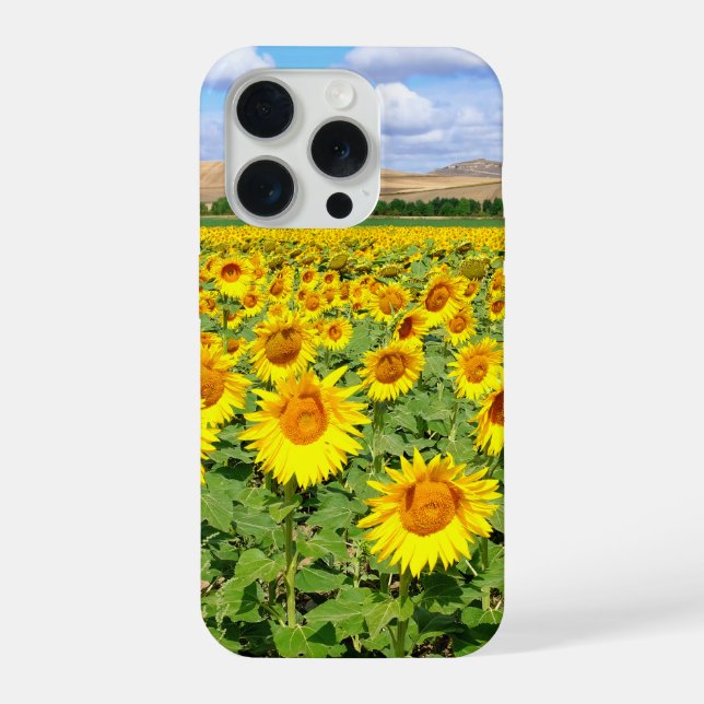 Sunflower field iPhone case (Back)