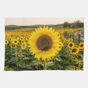 Sunflower Field Kitchen Towel