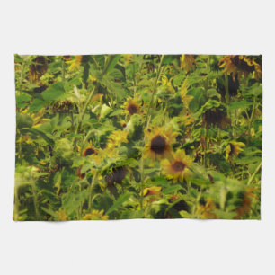 Sunflower field kitchen towel