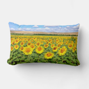 Sunflower field lumbar pillow