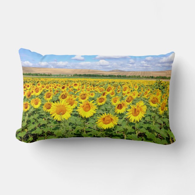 Sunflower field lumbar pillow (Front)