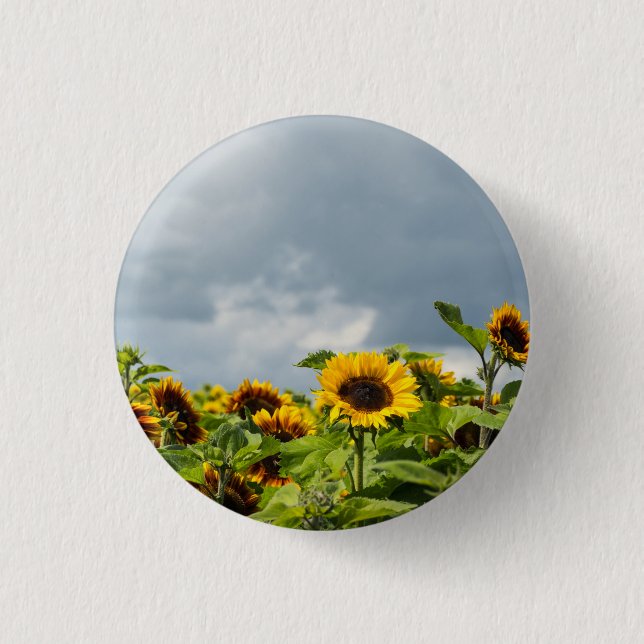 Sunflower Field Magnet 1 Inch Round Button (Front)