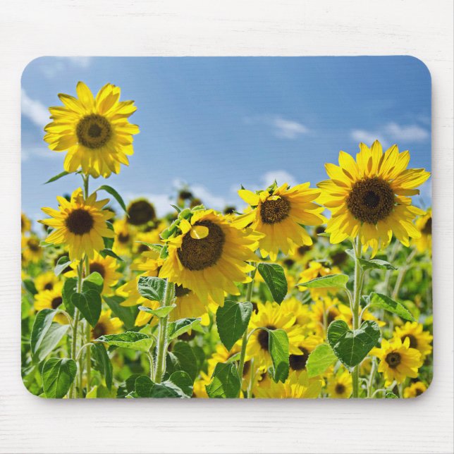 Sunflower Field Mouse Pad (Front)