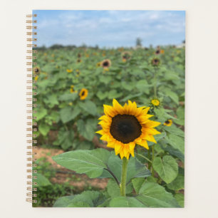 Sunflower Field Photograph Planner
