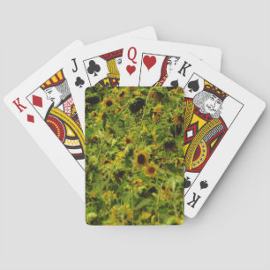 Sunflower field playing cards
