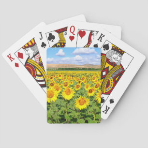 Sunflower field playing cards