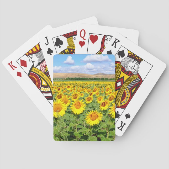 Sunflower field playing cards (Back)