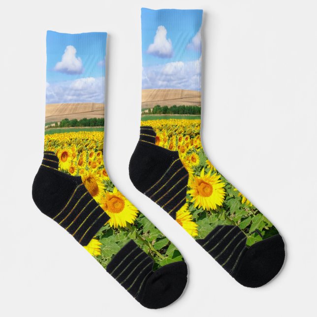 Sunflower field socks (Right)