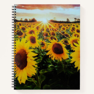 Sunflower field Spiral Notebook