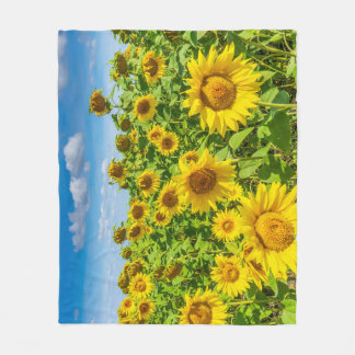 Sunflower field, summer sunny day. fleece blanket