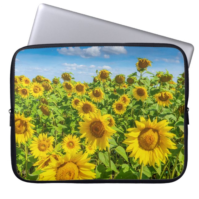 Sunflower field, summer sunny day. laptop sleeve (Front)