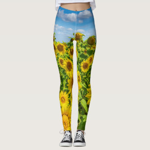 Sunflower field, summer sunny day. leggings