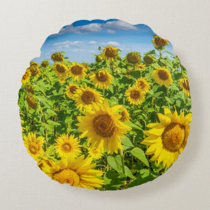 Sunflower field, summer sunny day. round pillow