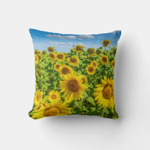 Sunflower field, summer sunny day. throw pillow