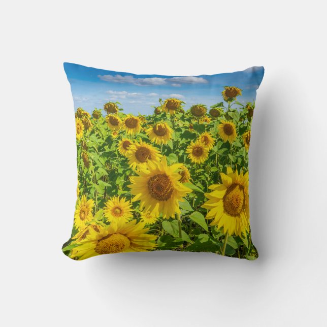 Sunflower field, summer sunny day. throw pillow (Front)