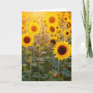 SUNFLOWER FIELD SYMPATHY GREETING CARD