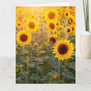 SUNFLOWER FIELD SYMPATHY GREETING CARD