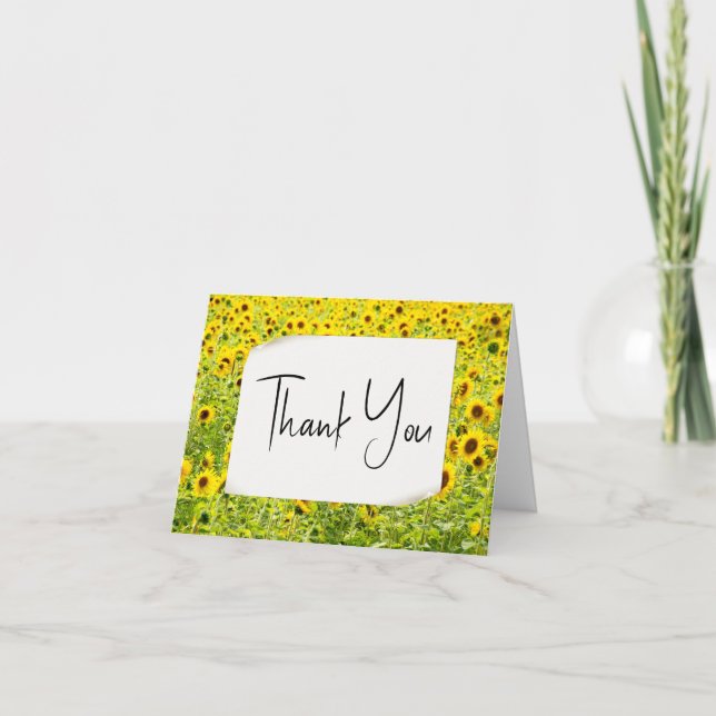Sunflower Field Thank You  Card (Front)