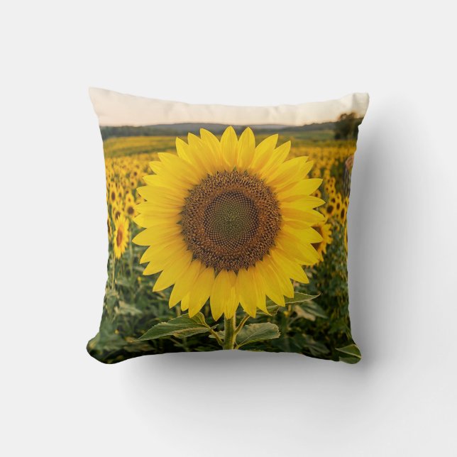 Sunflower Field Throw Pillow (Front)
