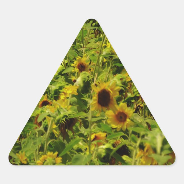 Sunflower field triangle sticker (Front)