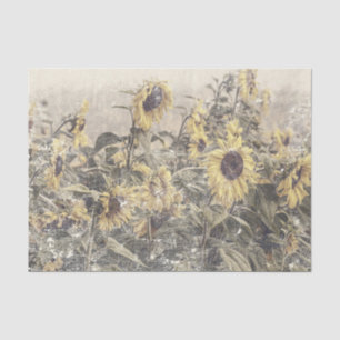 Sunflower Field Vintage Antique Distressed Texture Tissue Paper