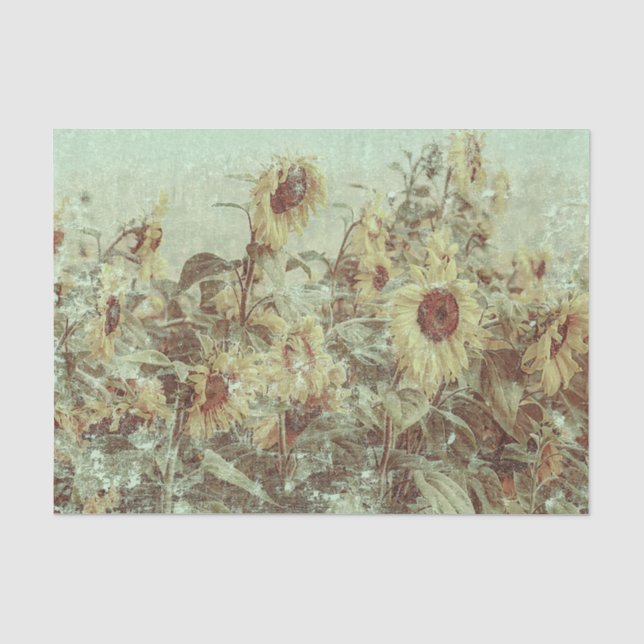 Sunflower Field Vintage Antique Fall Texture Tissue Paper (Front)