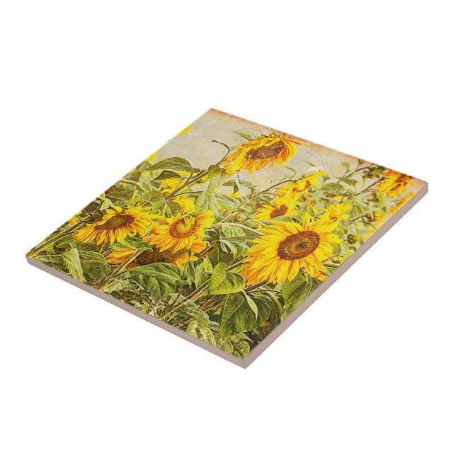 Sunflower Field Vintage Bright Yellow Country Art Tile (Side)