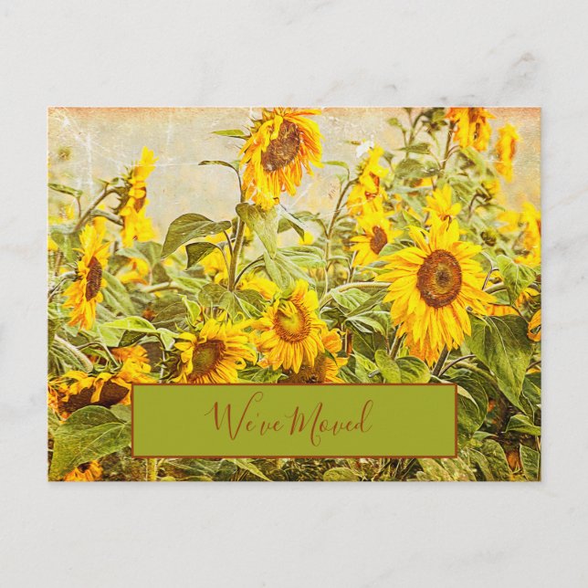 Sunflower Field Vintage We'ved Moved Yellow Moving Postcard (Front)