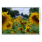Sunflower Field with Farmhouse Card