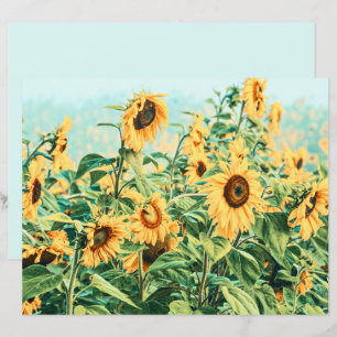 Sunflower Field Yellow Teal Decoupage Floral Art