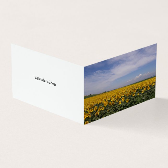 Sunflower Fields Folded Card (Outside)