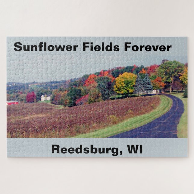 Sunflower Fields Forever Puzzle Wisconsin Fall (Horizontal)