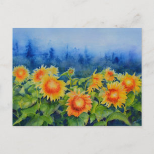 Sunflower Fields Postcard