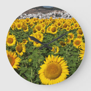 Sunflower fields, white hill town of Bornos Large Clock