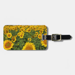 Sunflower fields, white hill town of Bornos Luggage Tag