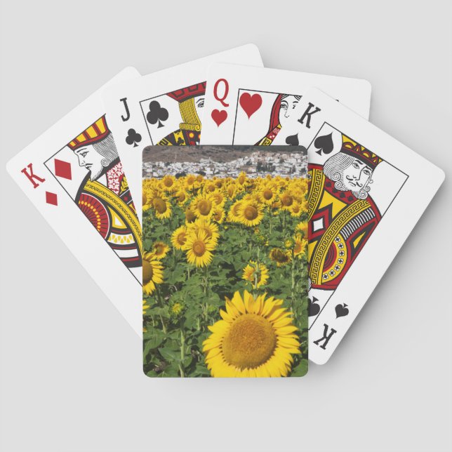 Sunflower fields, white hill town of Bornos Playing Cards (Back)