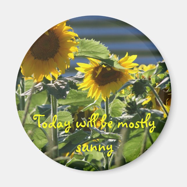 Sunflower Flair Magnet (Front)