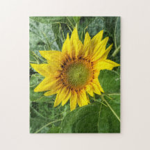 Sunflower floral