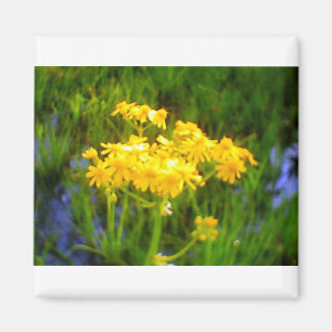 Sunflower Flower Magnet