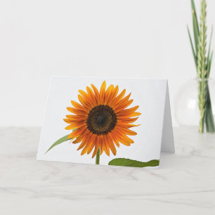 Sunflower Folded Greeting Card