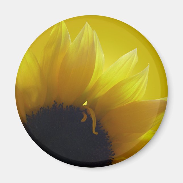 Sunflower Fridge Magnet Cheerful Yellow Gifts (Front)