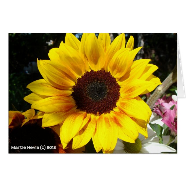 Sunflower & Friends Bouquet (Front Horizontal)