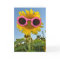 Sunflower Fun