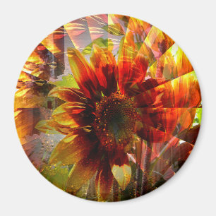 Sunflower Garden....... Magnet